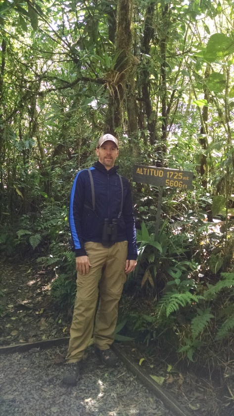 5,600 feet up in Monteverde collecting life birds.