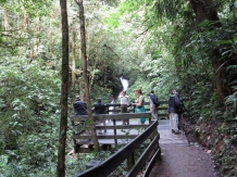 Waterfall at Monteverde - 3-17-2015