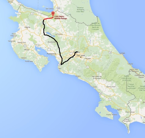 Heliconias Lodge to Cano Negro 3-22-2015. Black line represents approximate travel route to date. Blue line is todays travel.