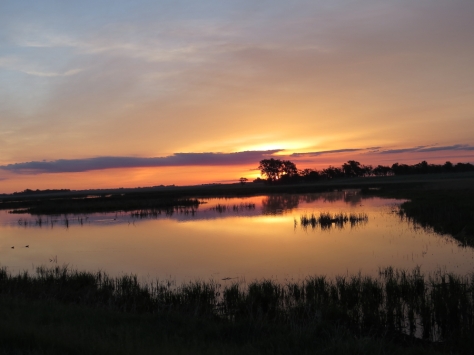 Sunrise at Sand Lake National Wildlife Refuge, South Dakota 5-27-2016
